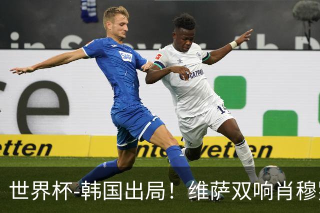 世界杯-韩国出局！维萨双响肖穆罗多夫神仙球 民主刚果3-1乌兹